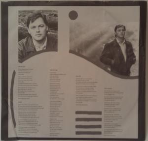 David Gilmour - About Face (4)